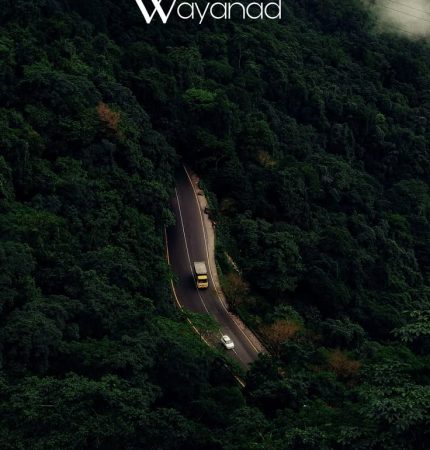 FREELANCE DIGITAL MARKETER IN WAYANAD,KERALA